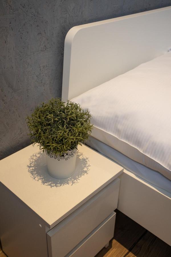 Kosciuszki Street Hostel Βρότσλαβ Εξωτερικό φωτογραφία